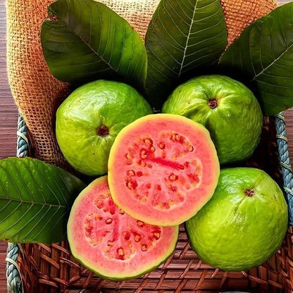 Organic Pink Guava Seeds (Free Pot Mixture 100 gm)