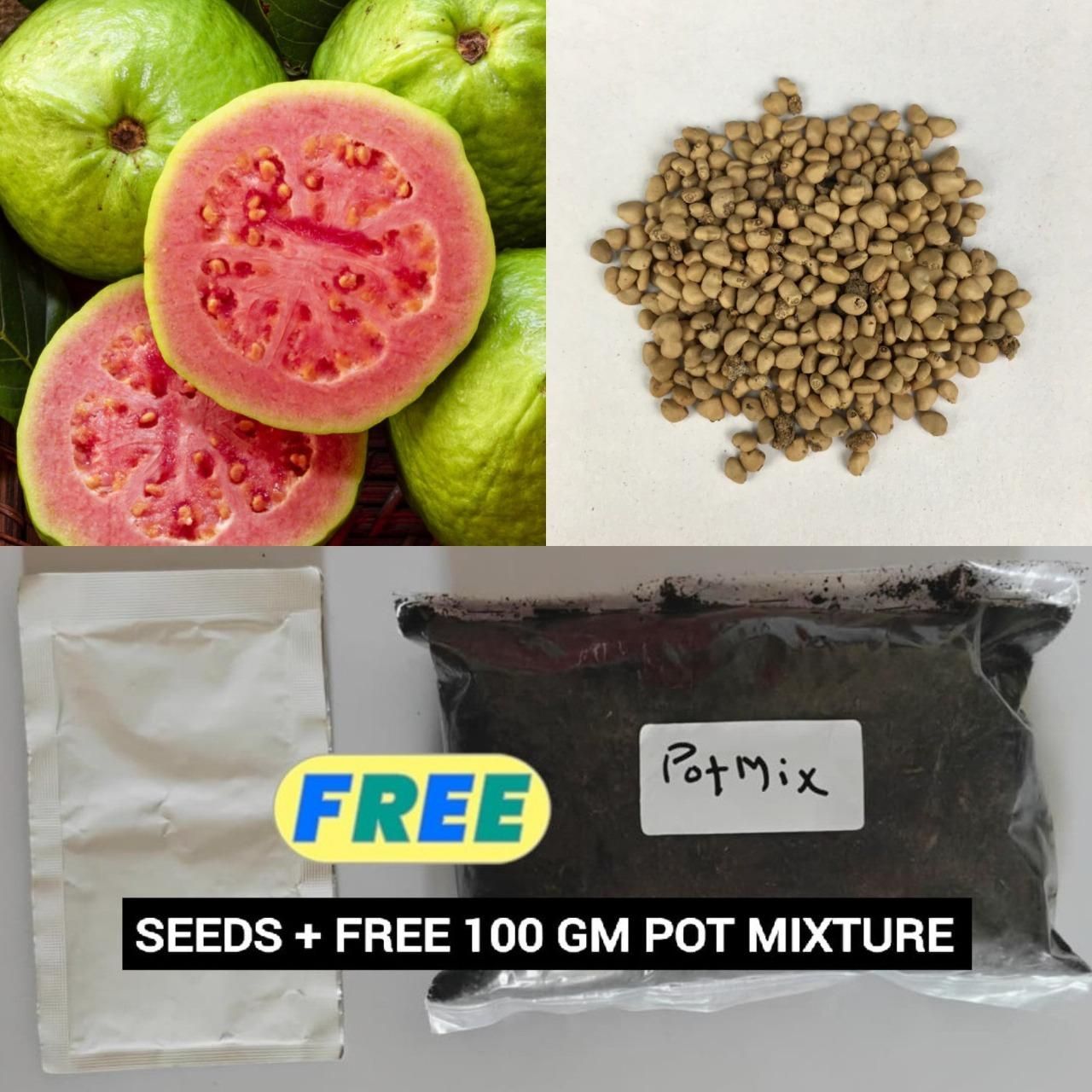 Organic Pink Guava Seeds (Free Pot Mixture 100 gm)