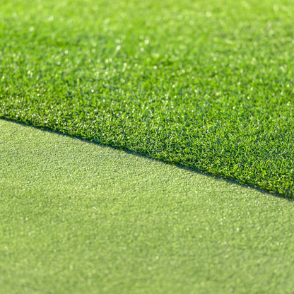 All Seasons Evergreen Grass Seeds | Fast Germination | Year-Round Beautiful Green Lawn