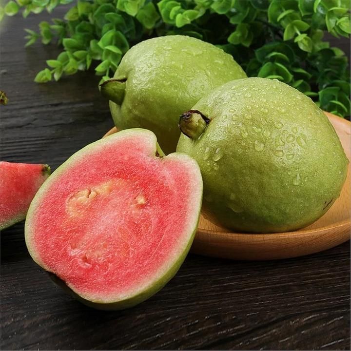 Organic Pink Guava Seeds (Free Pot Mixture 100 gm)