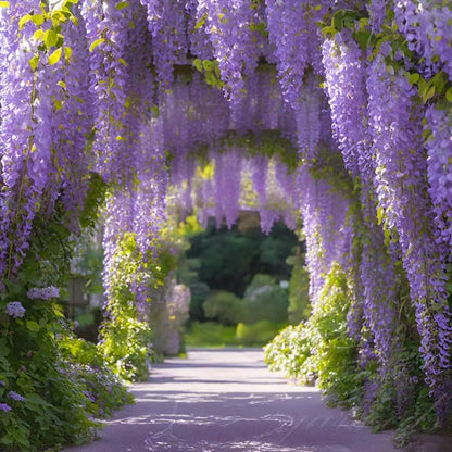 🌸WISTERIA SEEDS- THE GARDEN’S CASCADING BEAUTY ALL YEAR ROUND