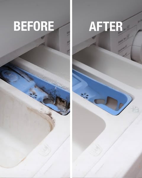 GLASSGUARD™ Miracle Mould Removal Gel