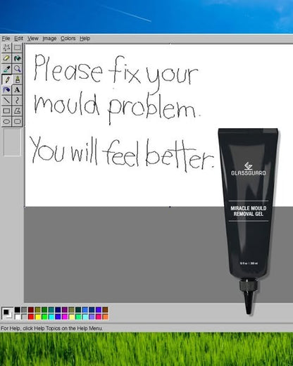 GLASSGUARD™ Miracle Mould Removal Gel