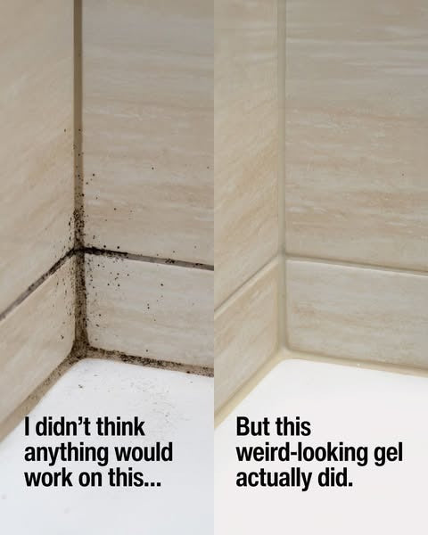 GLASSGUARD™ Miracle Mould Removal Gel